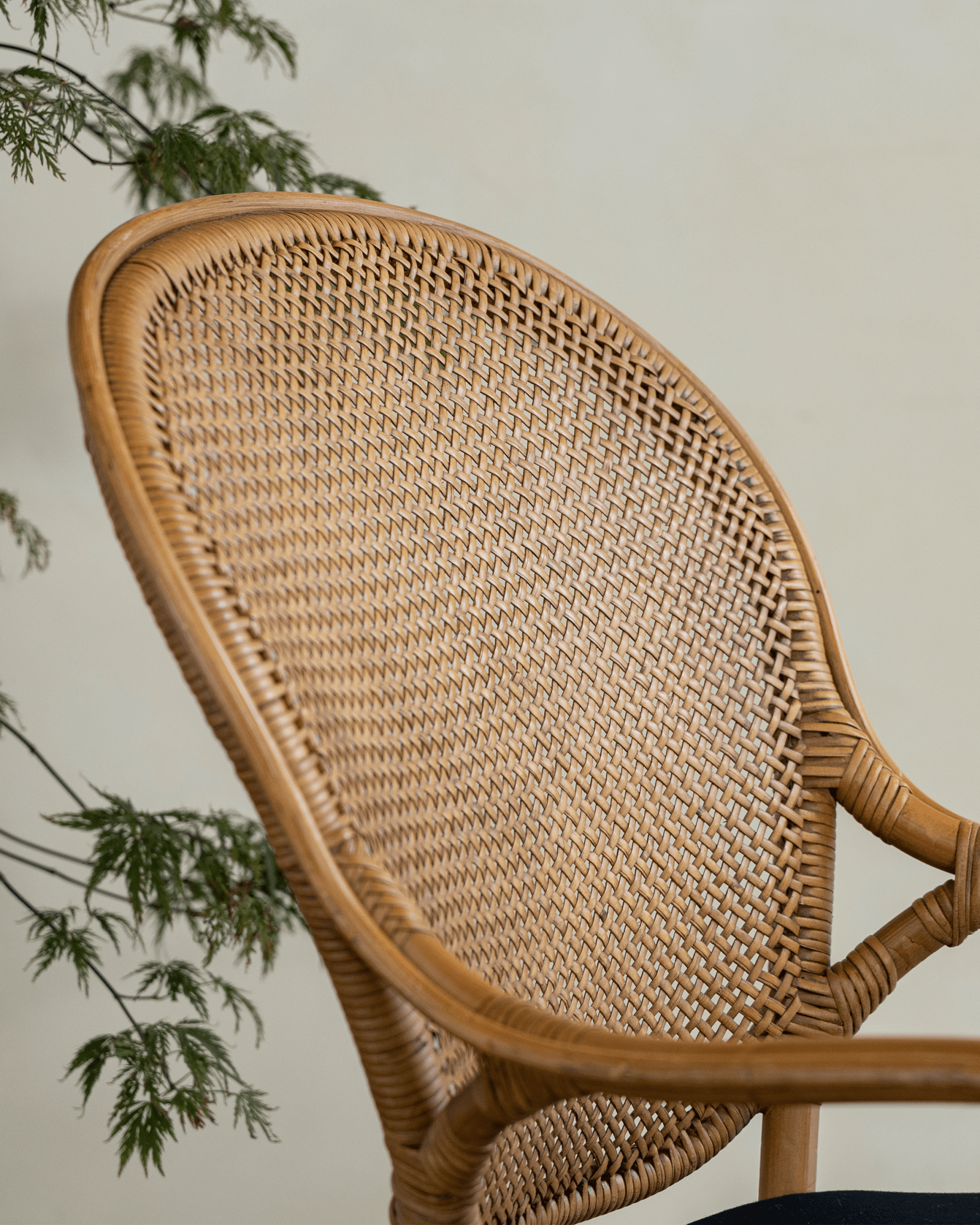 Areca Rattan Chair