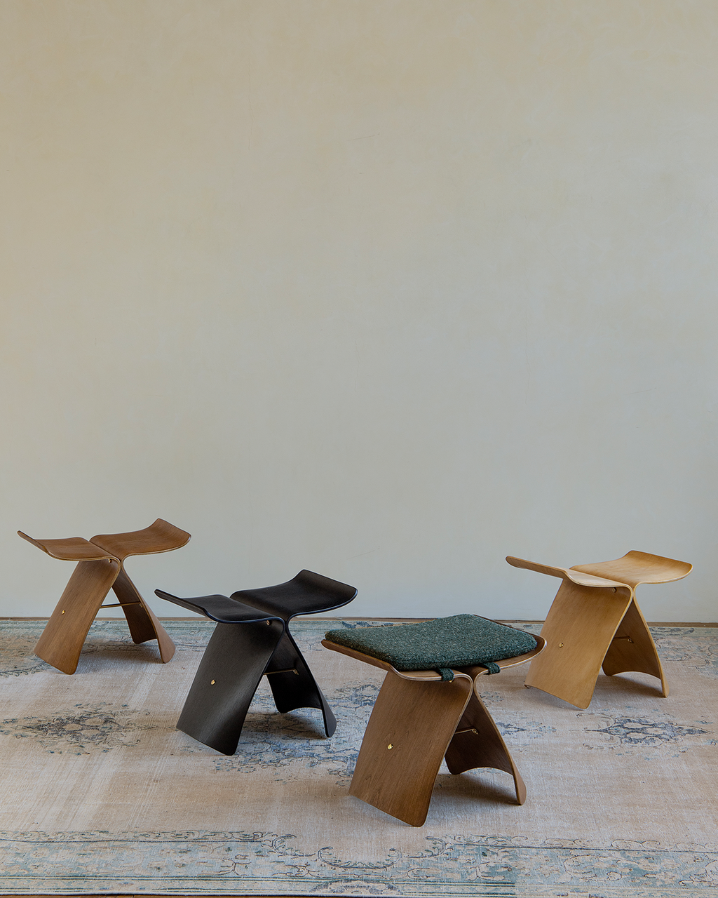 Schmetterlingshocker