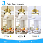 Breezary 65/52/42 5-Blatt-LED-Deckenventilator mit Beleuchtung und Fernbedienung