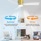 52 Zoll (132 cm) großer, schwarz/weißer LED-Deckenventilator mit Fernbedienung und Beleuchtung (3 Flügel)