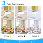 52 Zoll (132 cm) großer, schwarz/weißer LED-Deckenventilator mit Fernbedienung und Beleuchtung (3 Flügel)