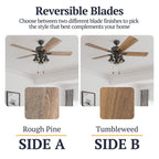 52 Prominence Home Sivan Bronze Farmhouse LED-Deckenventilator mit Licht und Fernbedienung