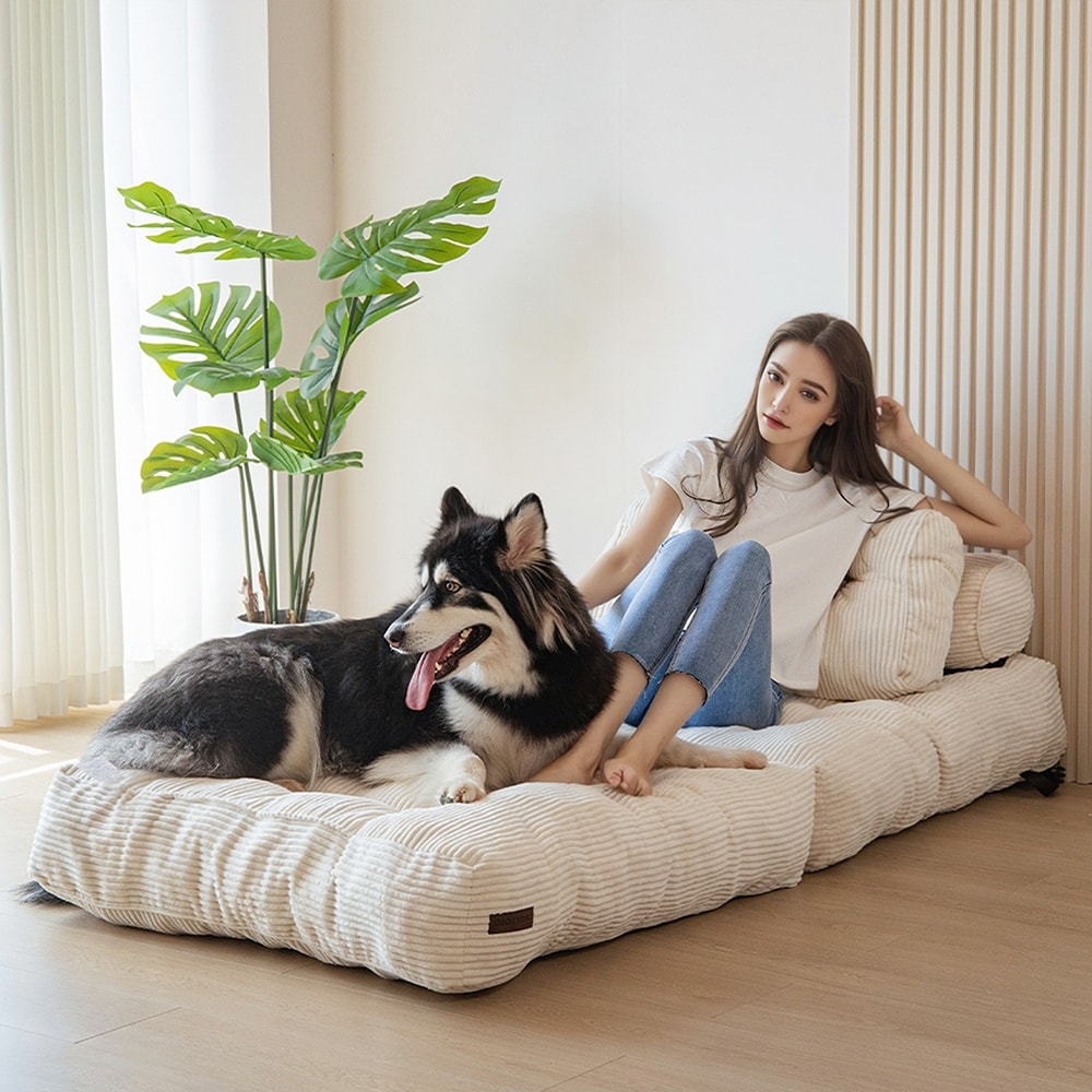 8 Cord-Klappsofa-Schlafsofa, Einzelbett