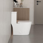 CB HOME 24'' Kompaktes, einteiliges WC, modernes Siphon-WC mit Zweimengenspülung und Soft-Close-Sitz, 16,5'' Komforthöhe