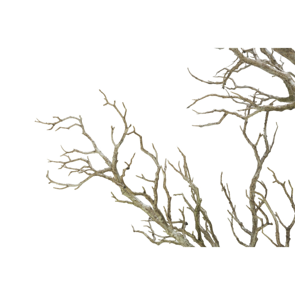 96 Zweig-Totholzbaum