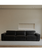 Botan Leather Sectional Sofa